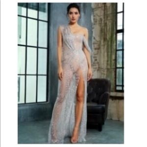 Beautiful Sheer Glitter Dress